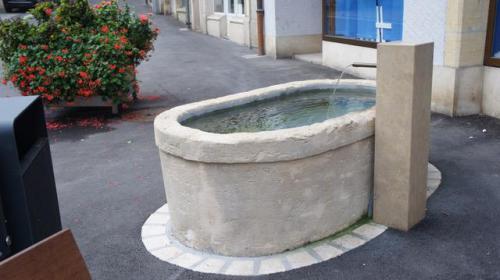 Fontaine - bassin restauré avec chèvre moderne neuve
